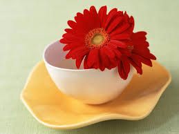 shaziaijaz