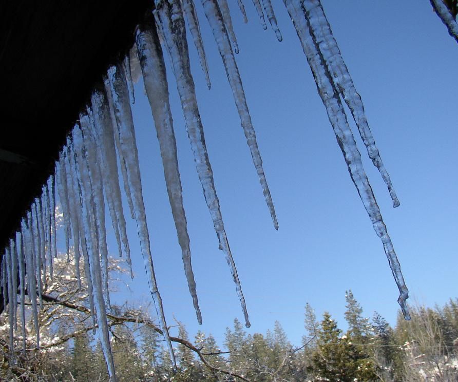 Winterize Your Plants and Garden