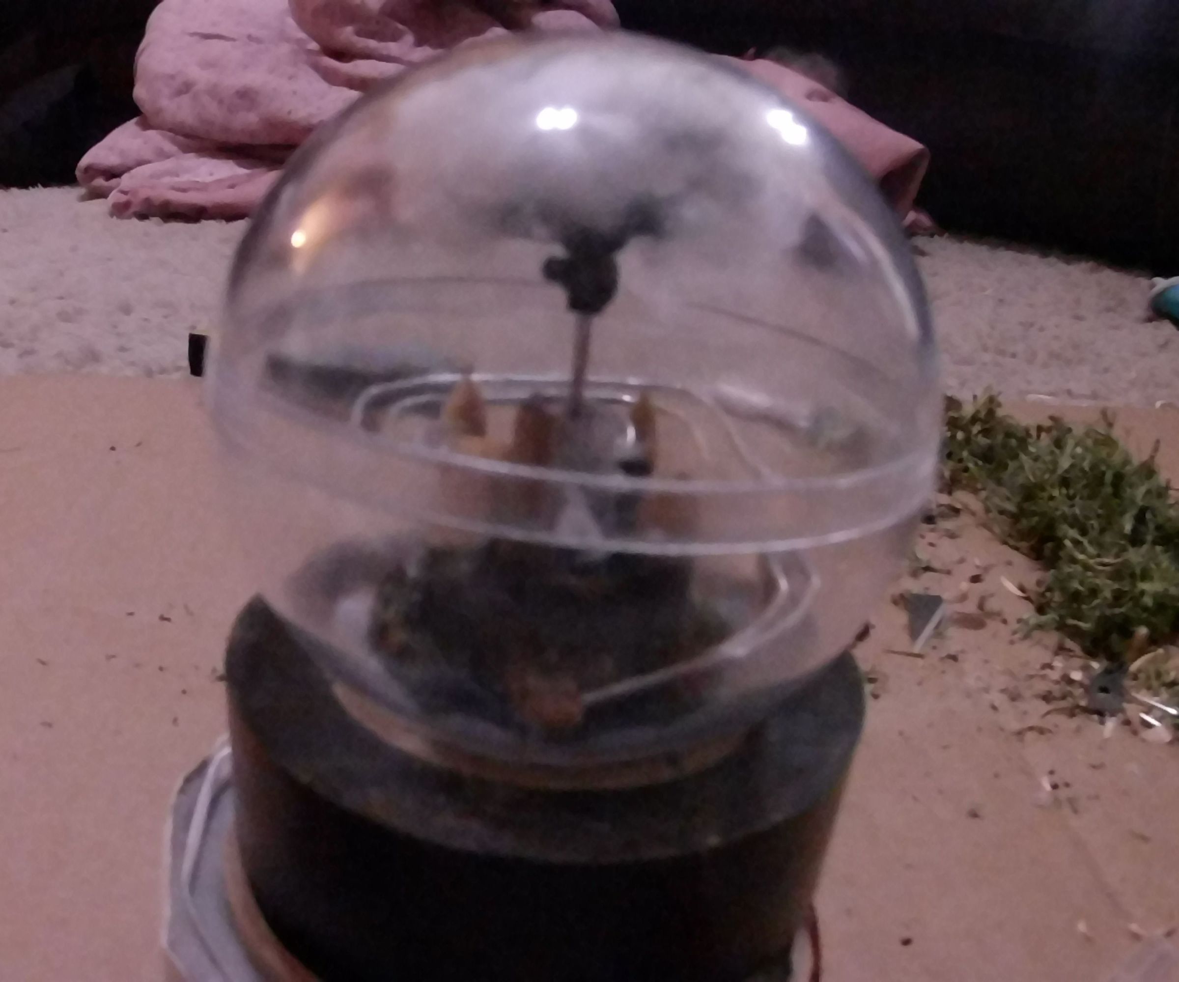 Tiny Marble Run, Almost Marble Machine