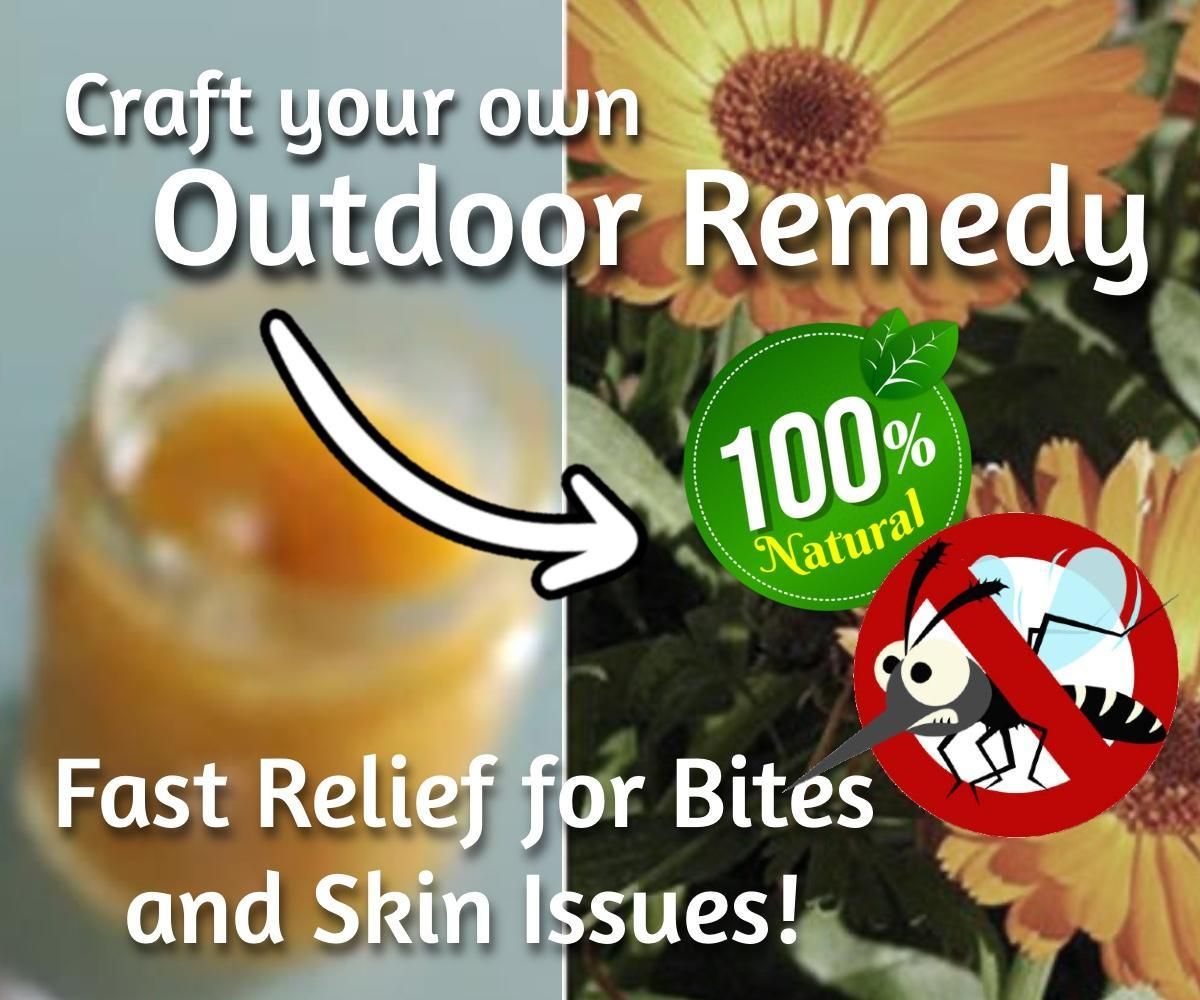 Craft Your Own Calendula Salve: Perfect for Outdoor Healing and Care
