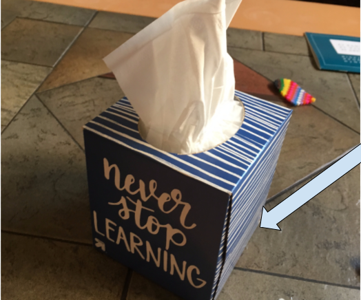 Hide Something in a Tissue Box.