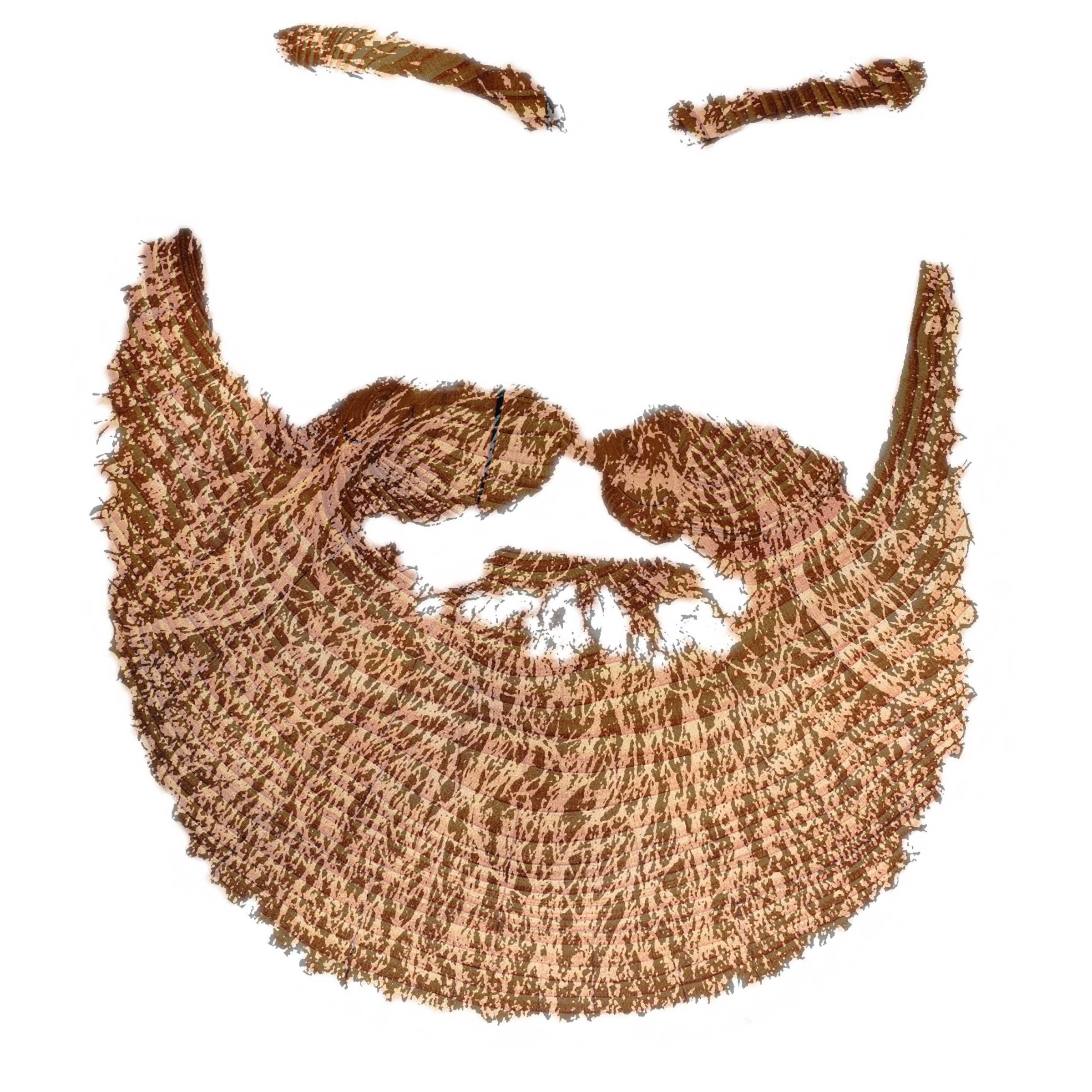 WoodenBeard