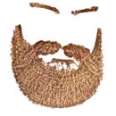 WoodenBeard