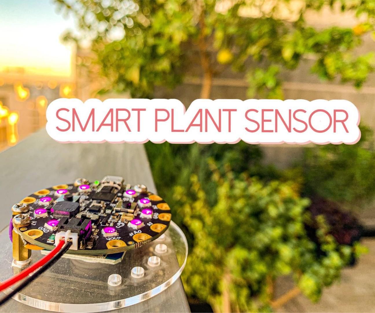 Smart Plant Sensor