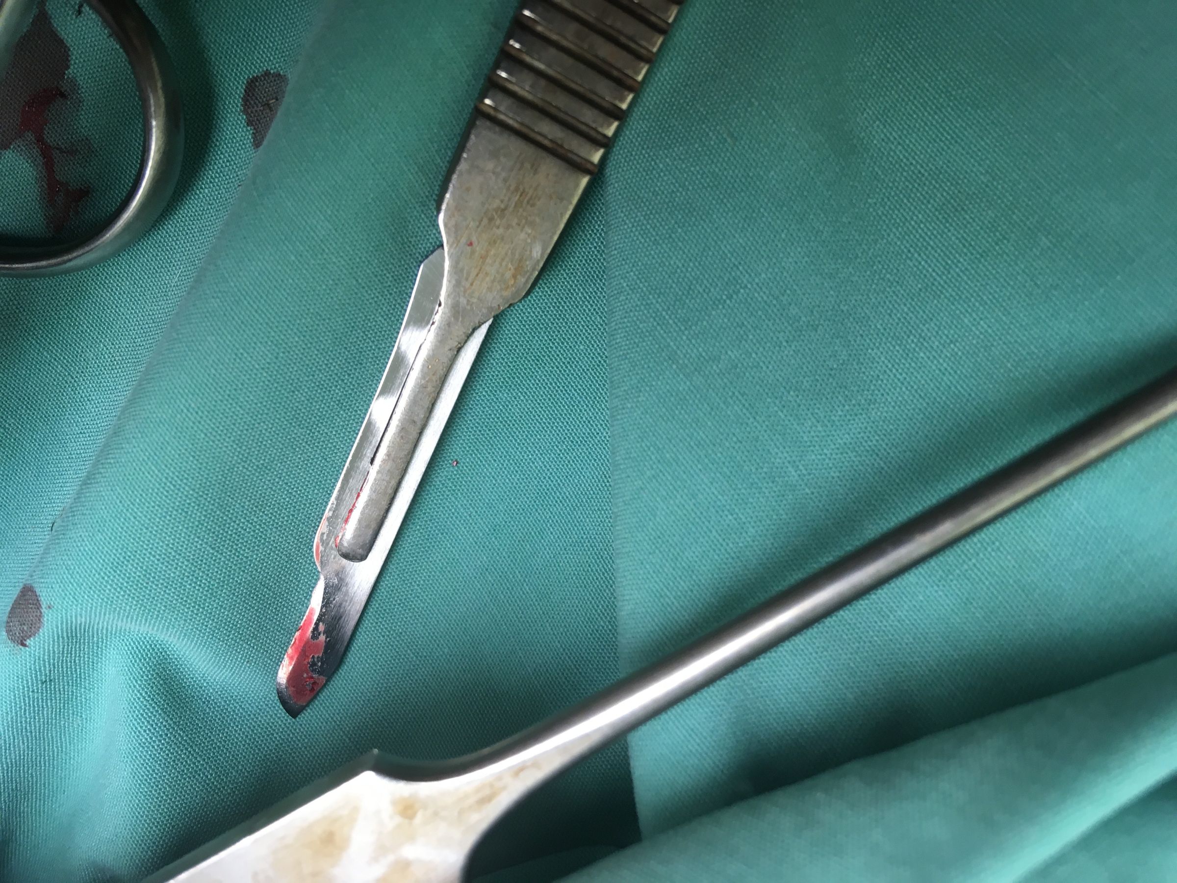 How to Wrap a Veterinary Surgical Pack 18 Steps Instructables