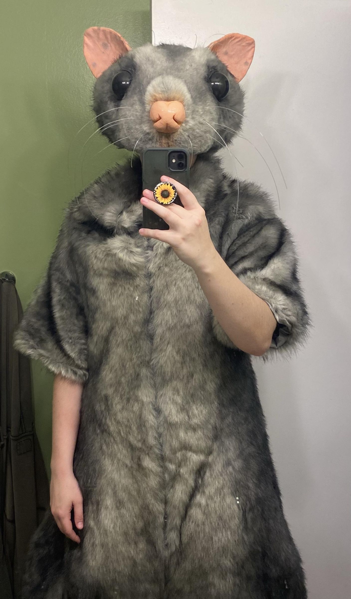 Rat Costume : 4 Steps (with Pictures) - Instructables