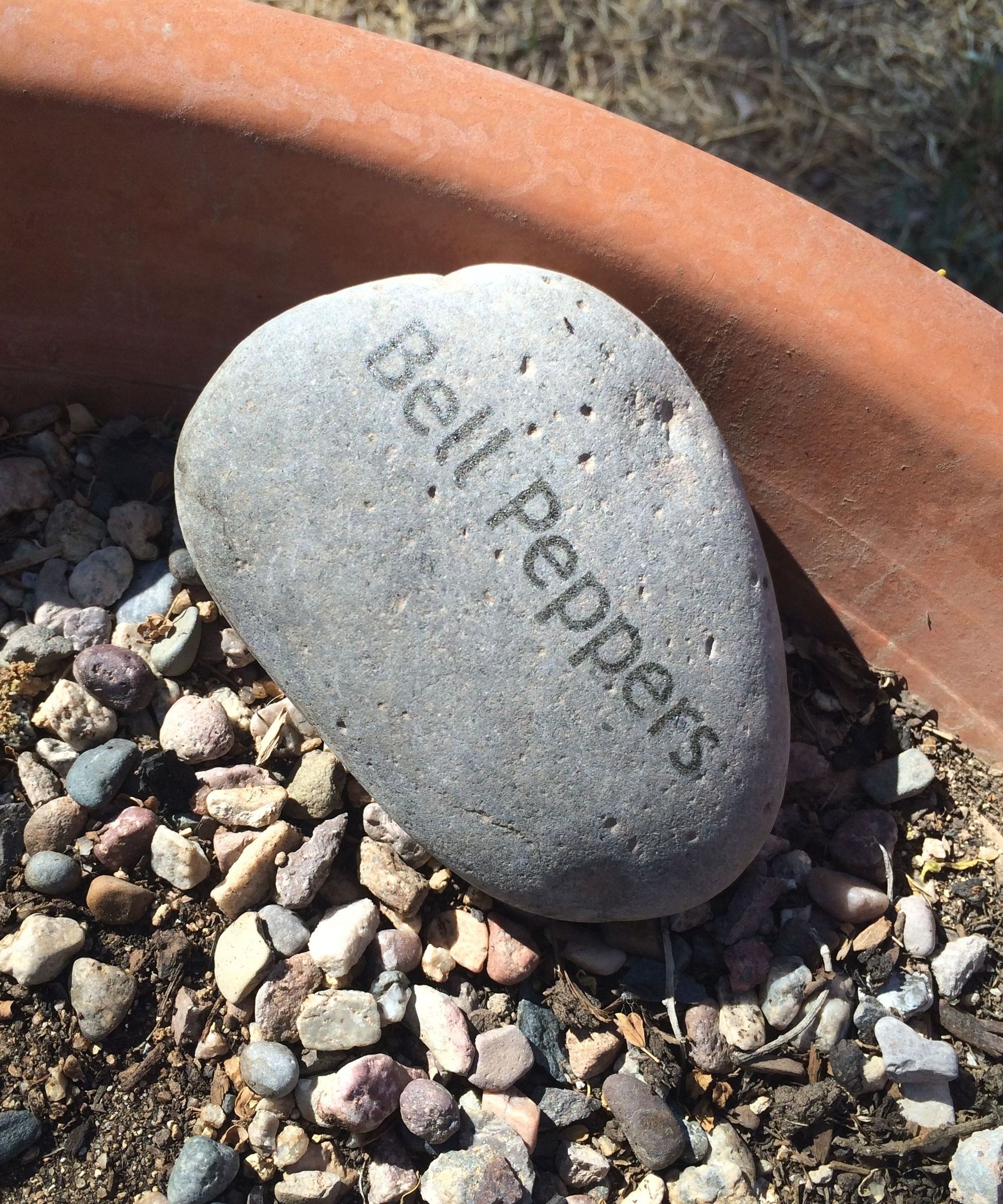 Garden Markers @ TechShop Chandler