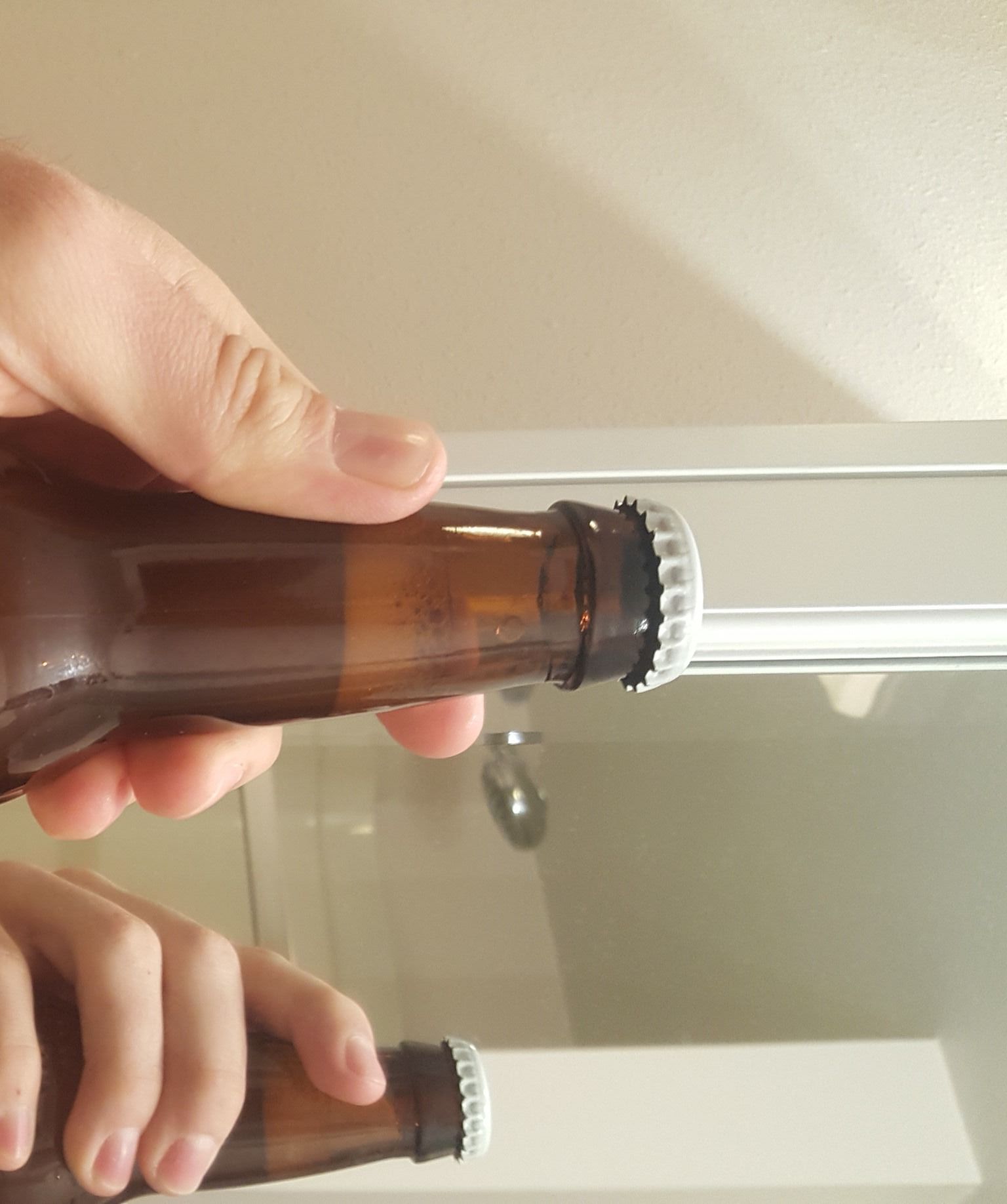 Bottle Conditioned Lacto Fermented Tepache 