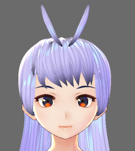 Create the Face of Your Model