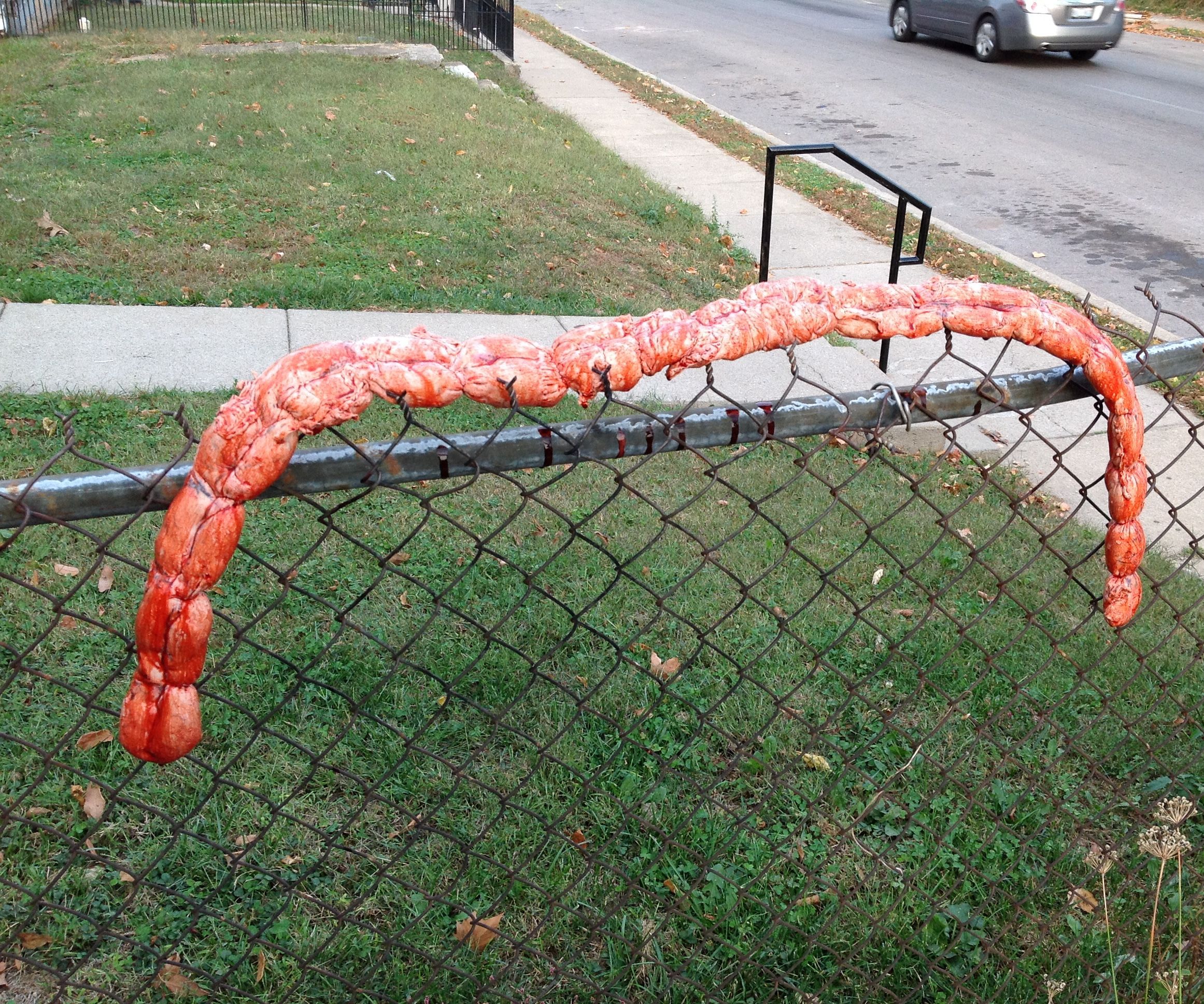 Fake Intestines