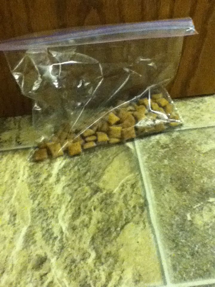 Cat Treat Trailmix