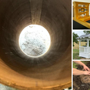 Staff Picks July 2024