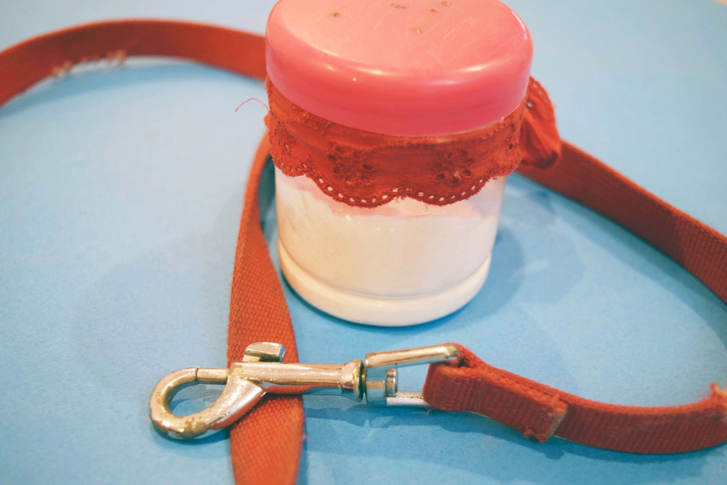 DIY Dog Dry Shampoo 3 Steps (with Pictures) Instructables