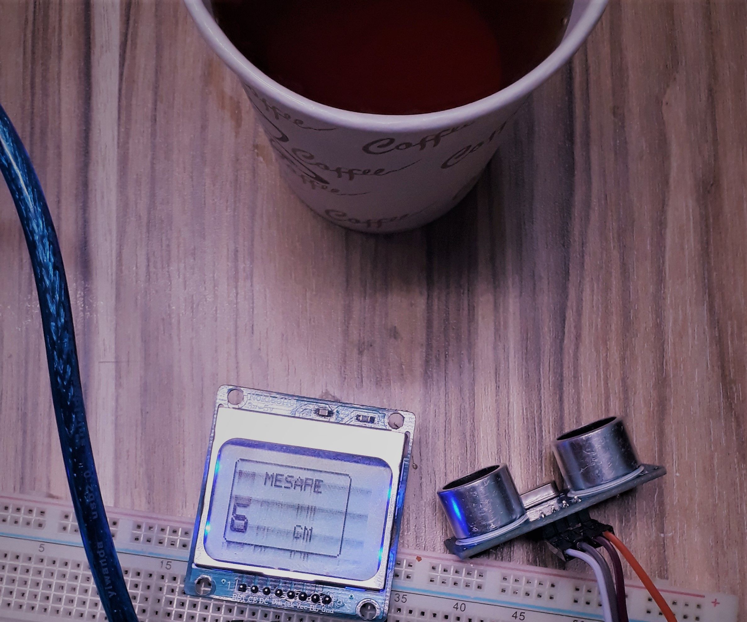 Printing the Distance on LCD 5110 Screen