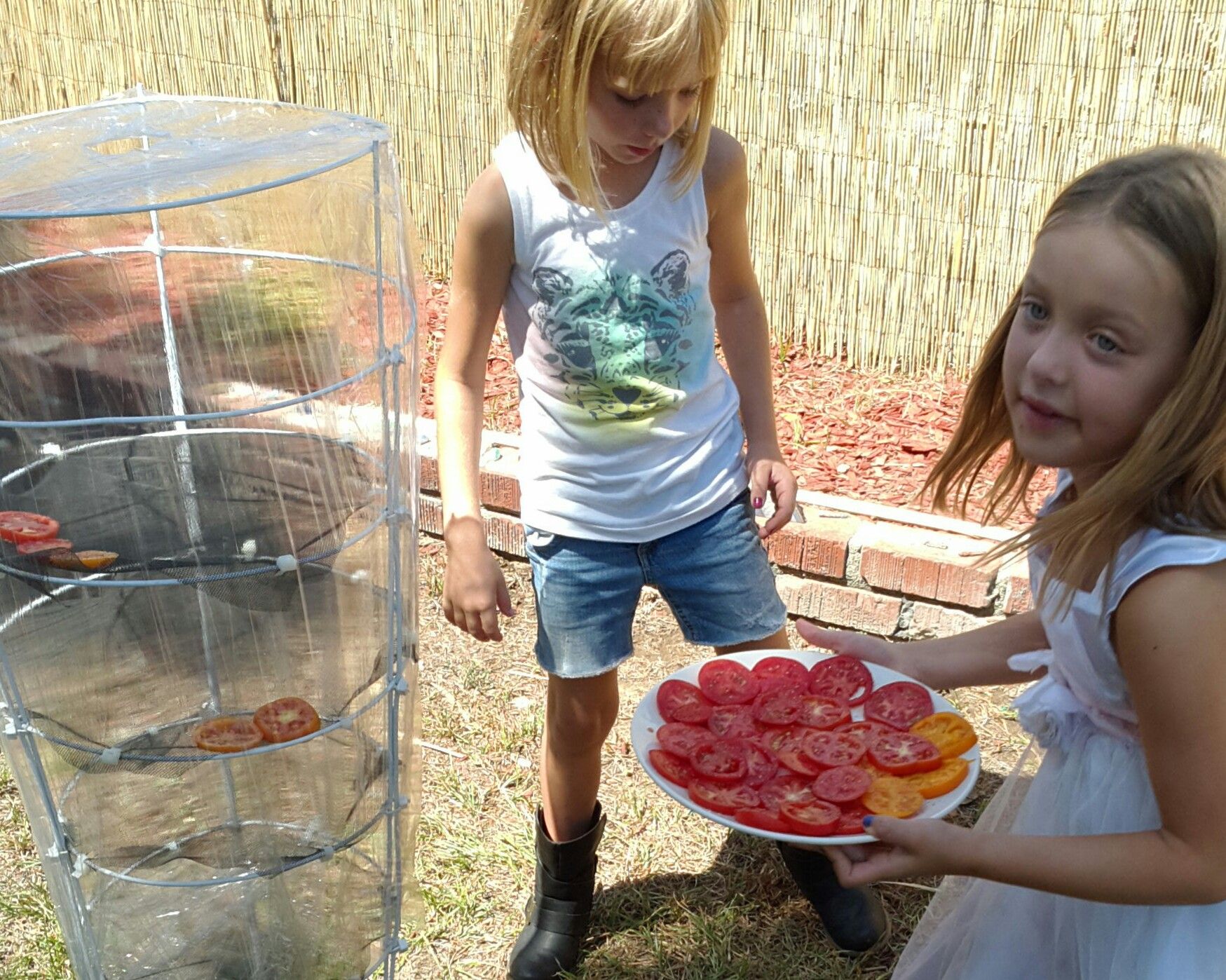Easy Tomato Drying Rack. 7 Steps (with Pictures) Instructables