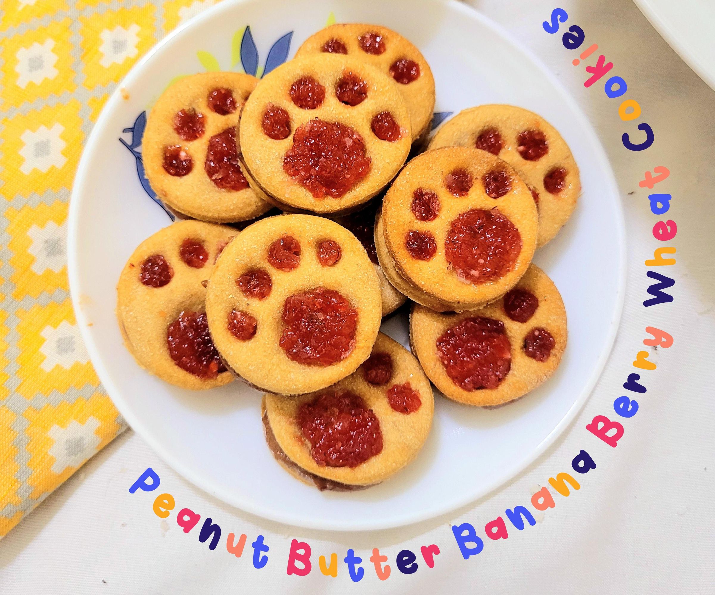  Paw Pressed Go Bananas! Doggie Ice Cream Sandwiches 