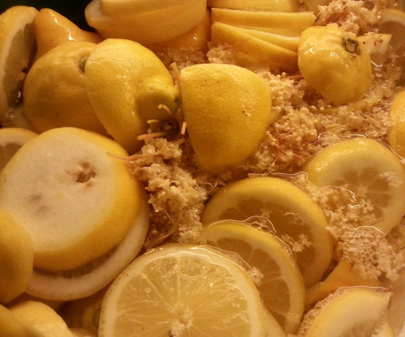 elderberry blossom syrup