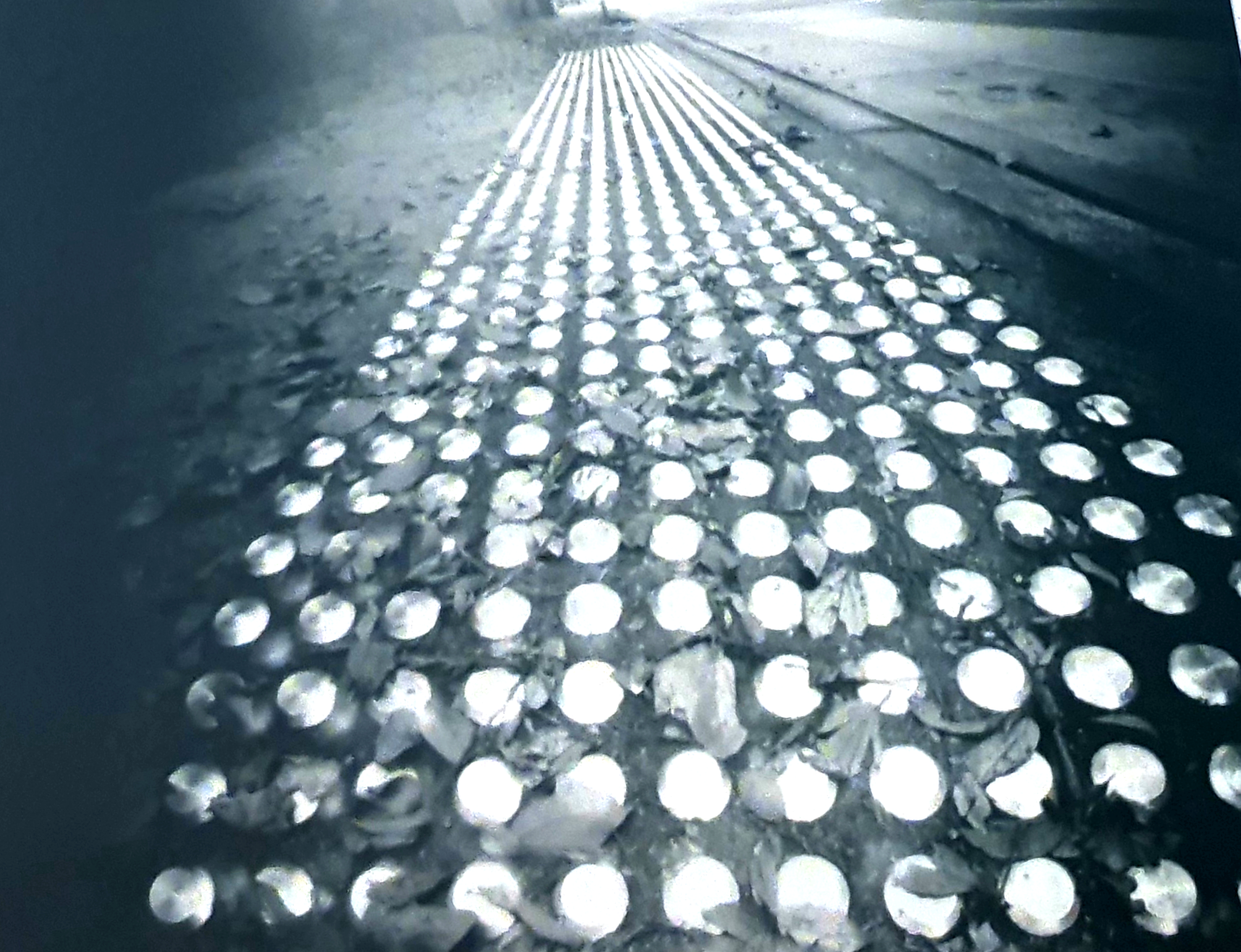 Beer Can Pinhole Camera Photography 10 Steps (with Pictures