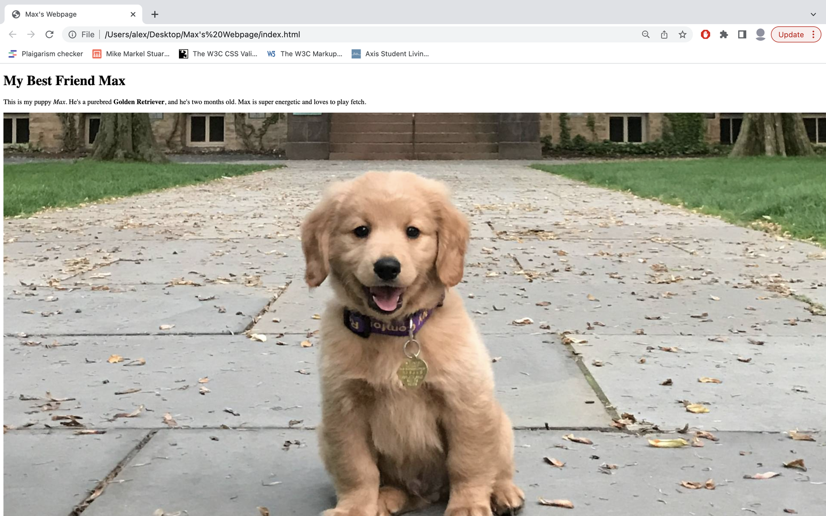 Designing a Simple Webpage Using HTML and CSS : 10 Steps - Instructables