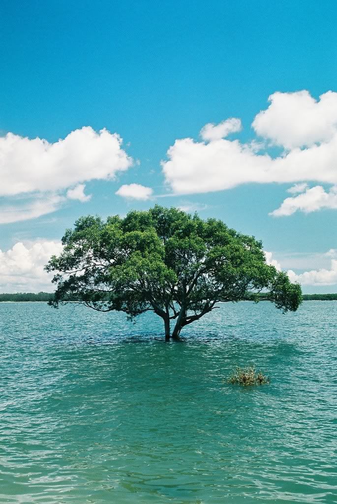 Lessen Your Stress in Today's Economy