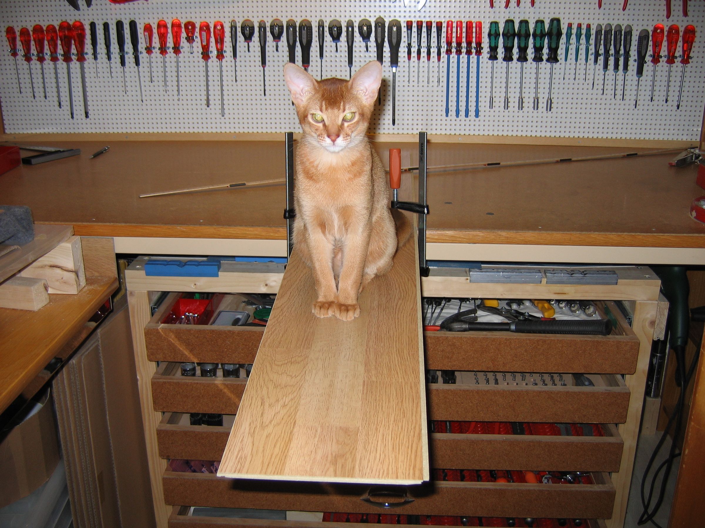 Full Size Cat Scratching / Climbing Post 7 Steps Instructables