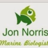 JonN4