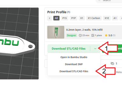 Download the Models