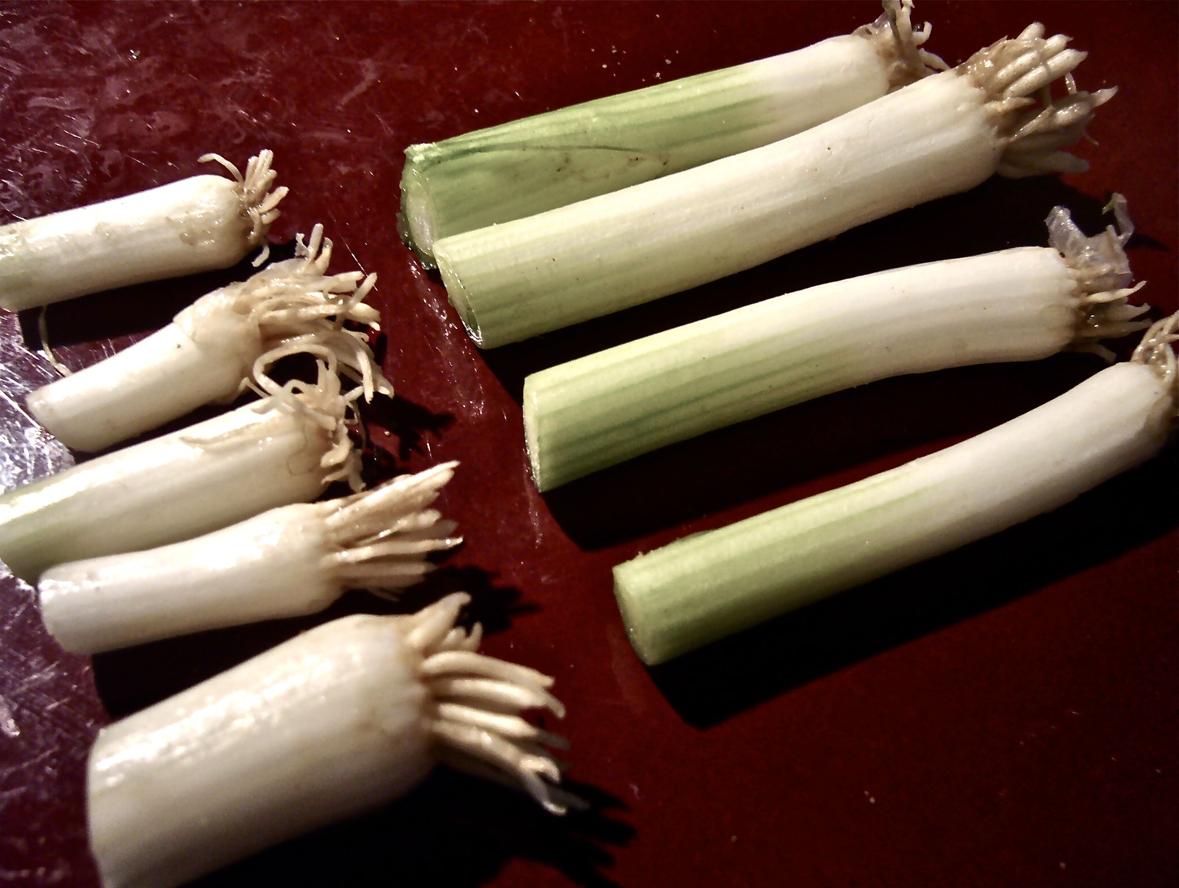 Regrow Your Spring Onions