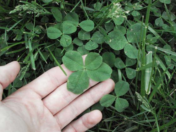 St. Patrick's Day