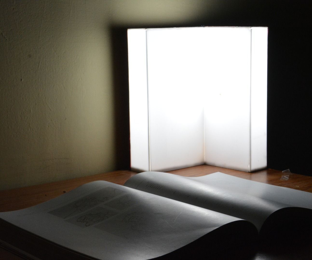 Book Lamp for Reading