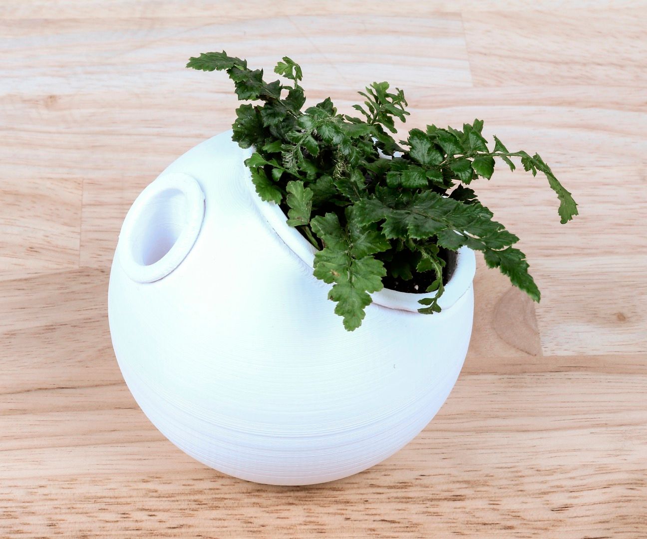 3D Printed Self-Watering Planter : 4 Steps (with Pictures) - Instructables