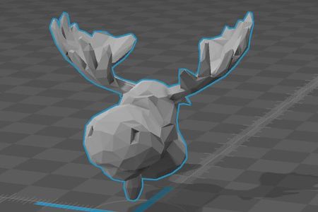Modeling the Head