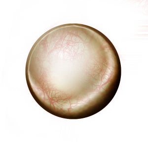 Rendering Eyeballs (and Adding Them to Photos)