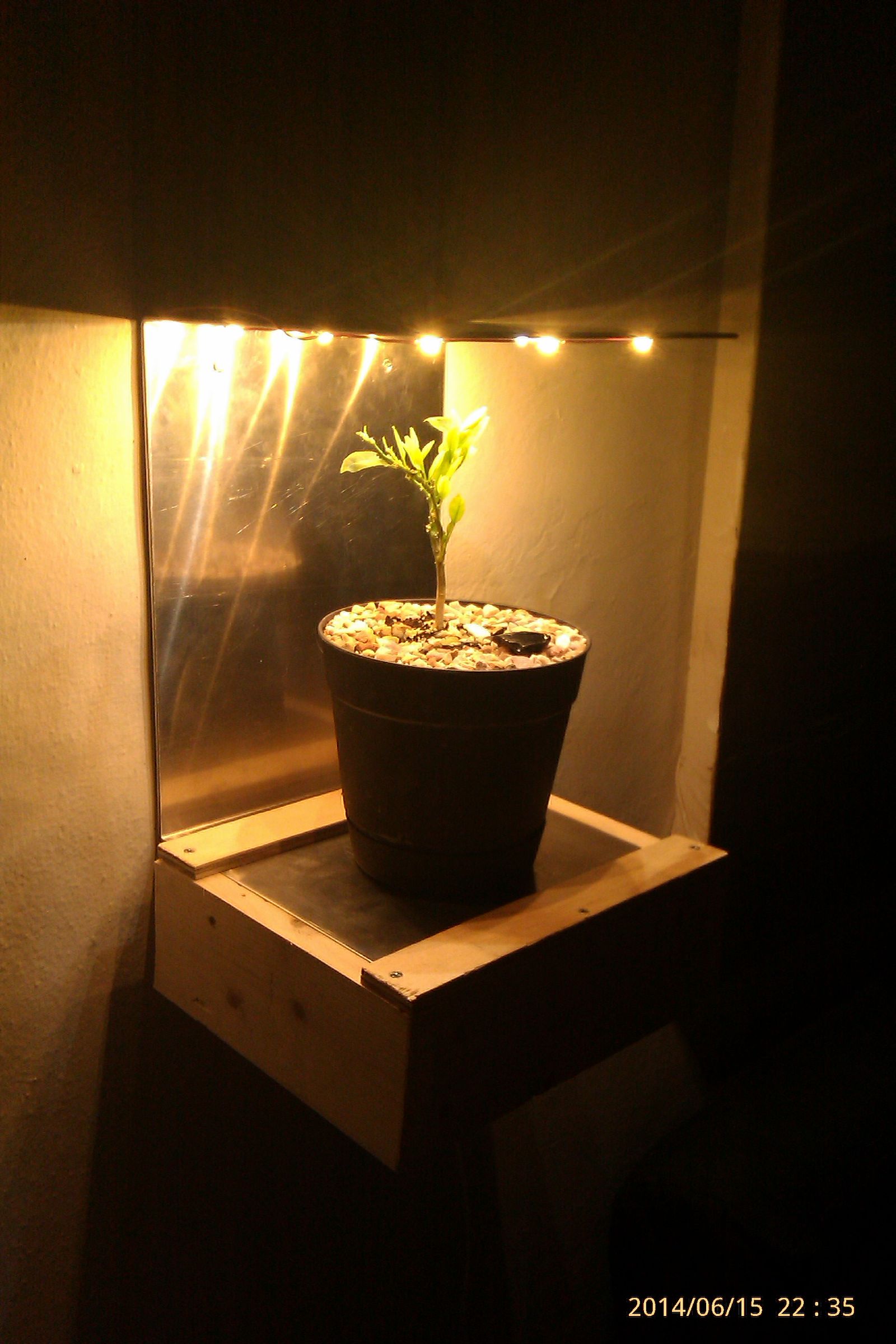 The Plant Shelf - Lights Upgrade