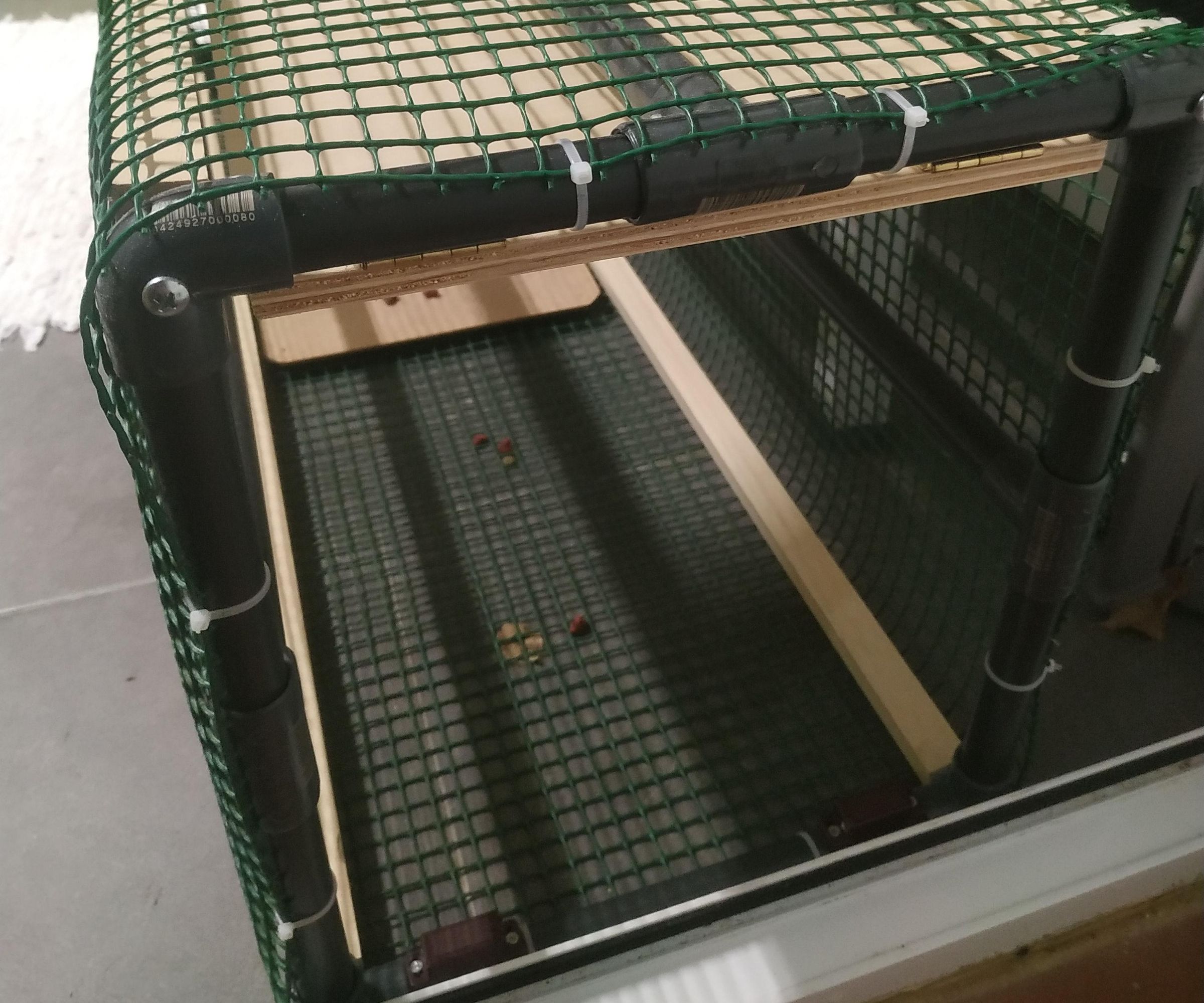 Trampa Para Gatos Callejeros