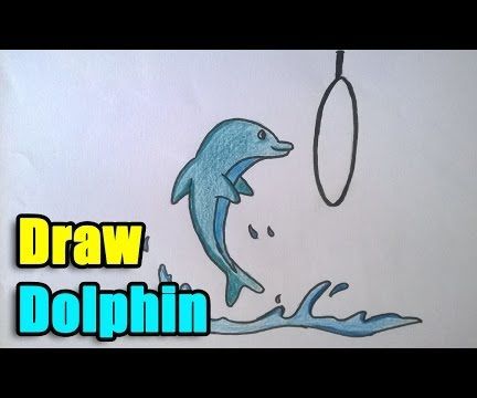 Dolphin Drawing Tutorial