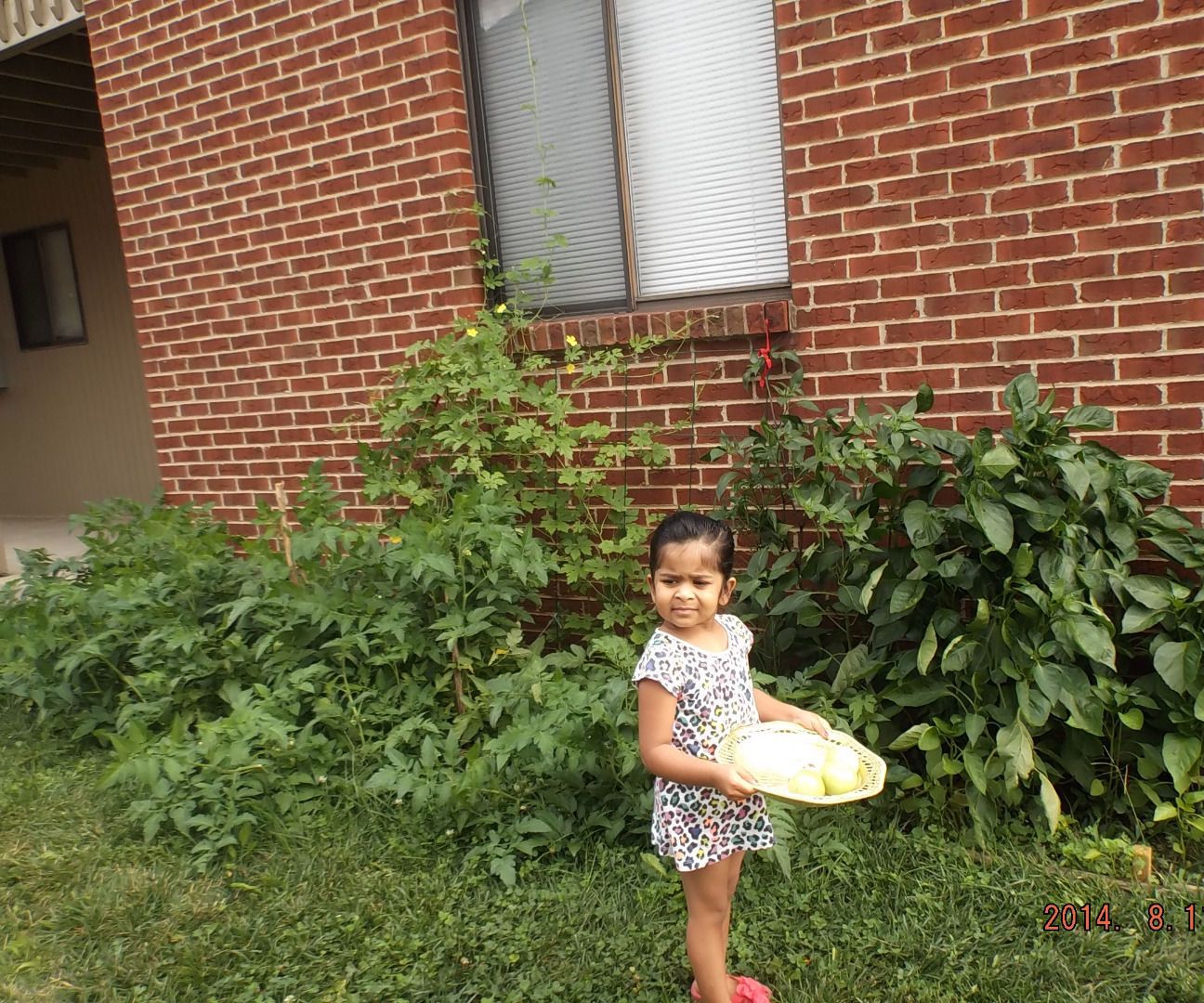 Gardening Can Be a Wonderfull Family Project