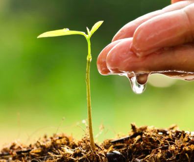 Soil Moisture Content Measurement Using Esp32 and Thingsio.ai Platform