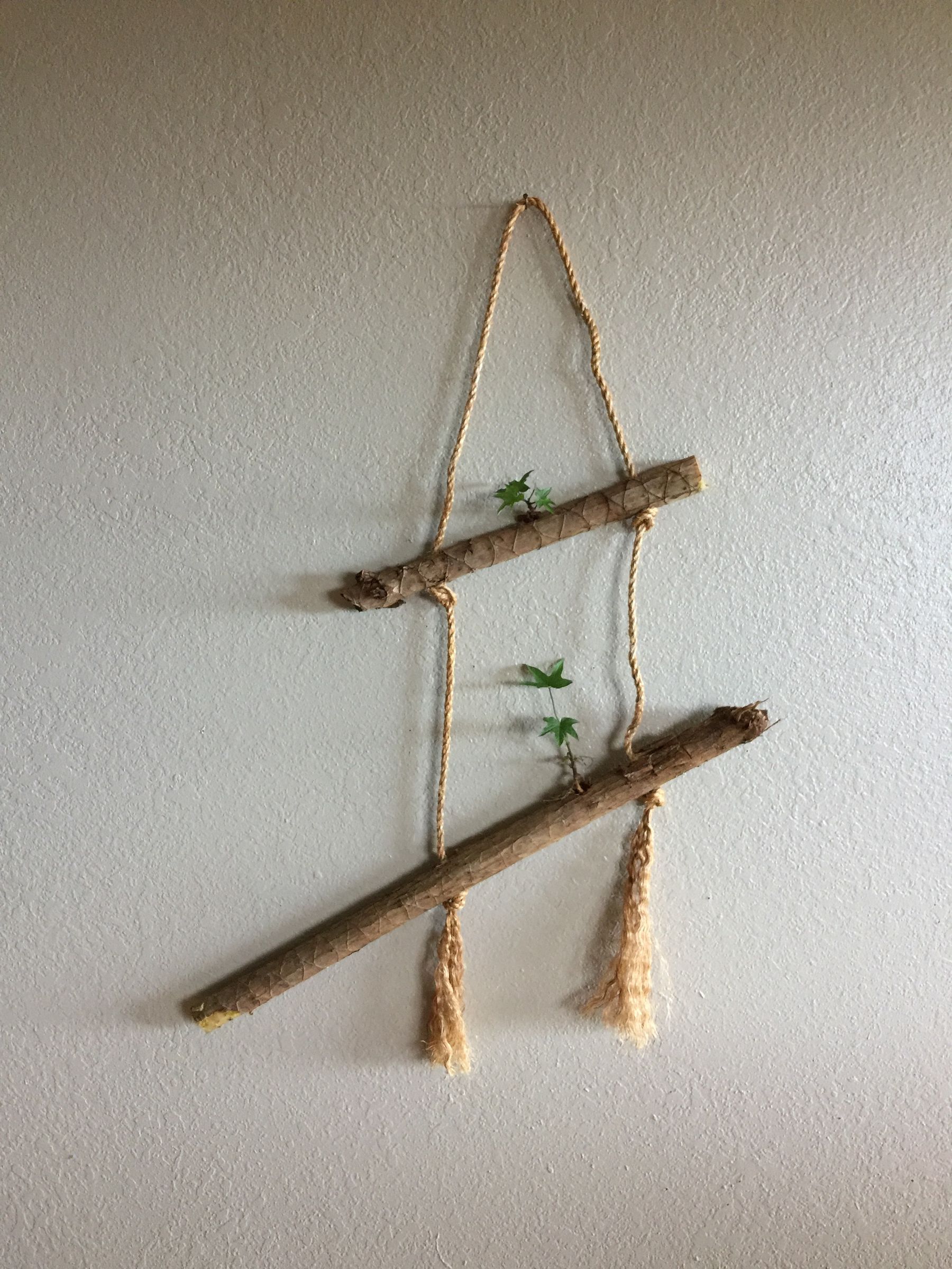 Second-Chance Gardening