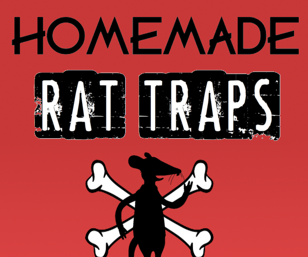 Homemade Rat Trap