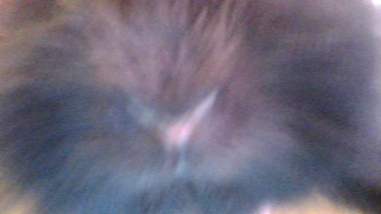 Steff_Steff