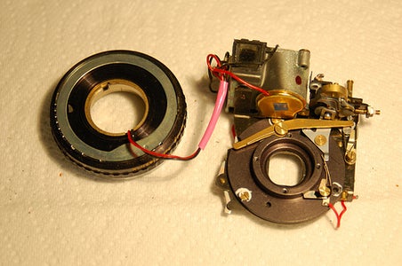 Final Removal of Guts