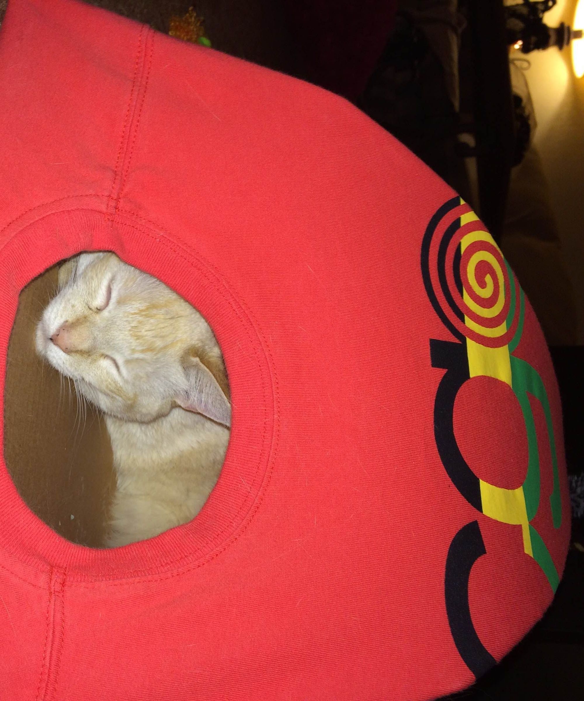 Cat T-shirt Tent