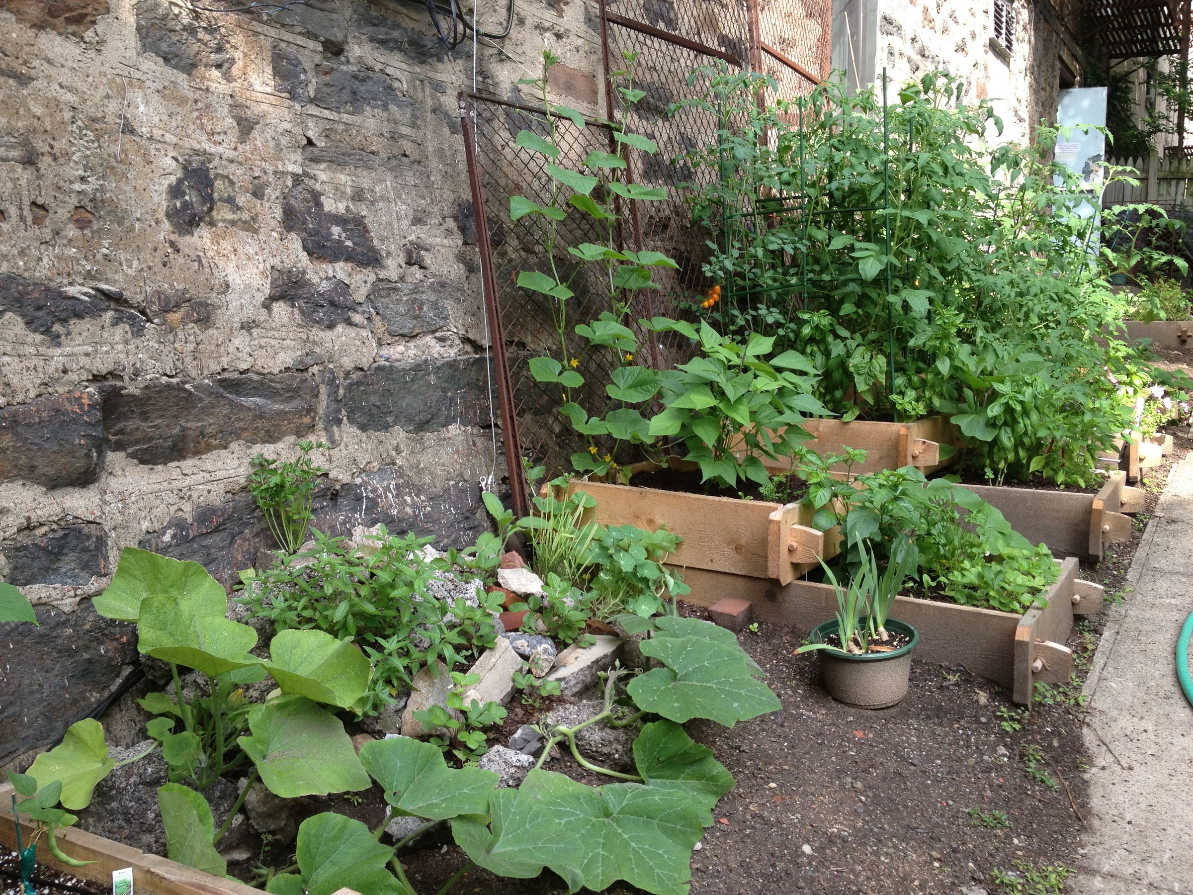 Build a Community Garden 8 Steps (with Pictures) Instructables