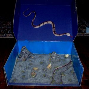 Desert Diorama