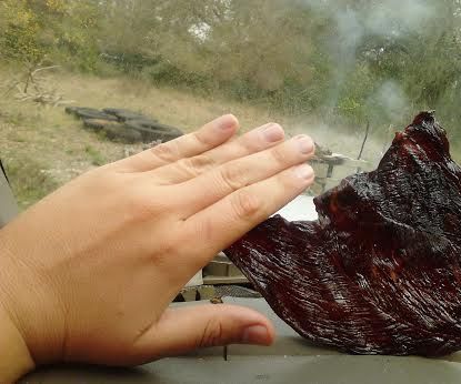 Dashboard Delight (IE; Make Beef Jerky In Your Car)
