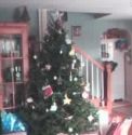 Treeduino - the Web Controlled Christmas Tree