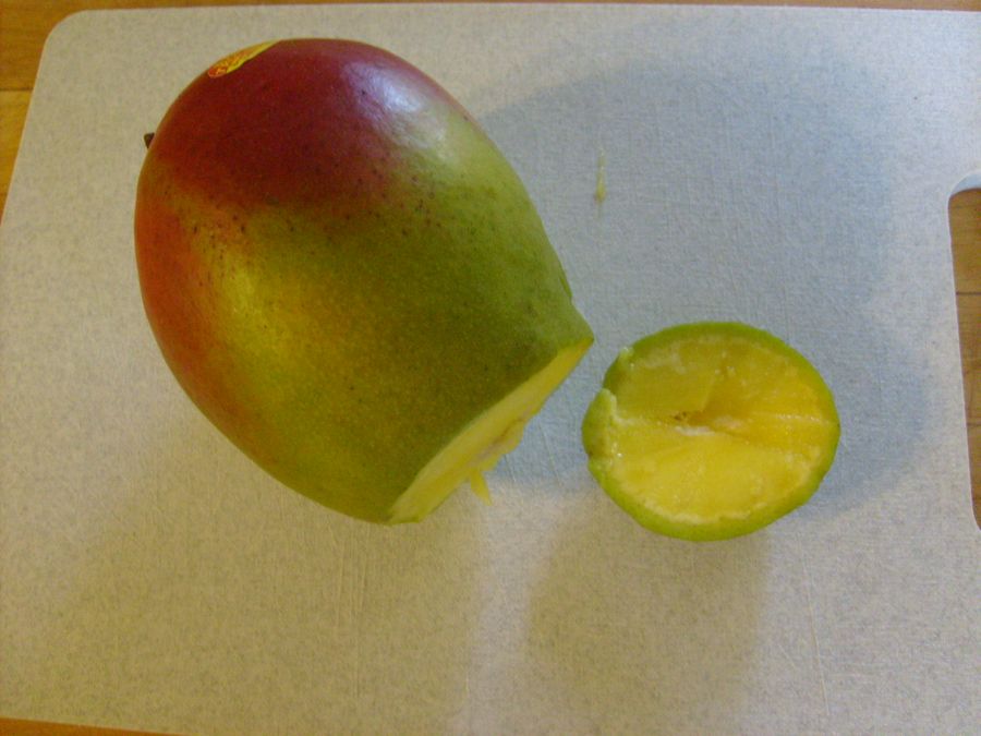 Grow a Mango Tree : 5 Steps (with Pictures) - Instructables