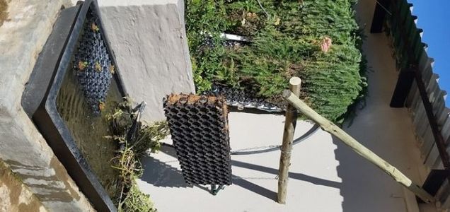 Hanging the Waterfall Garden