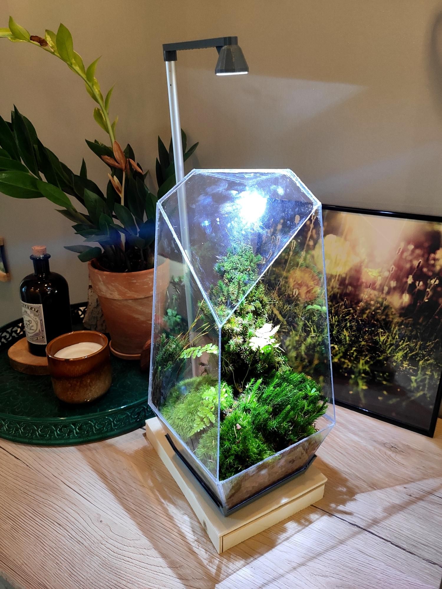 Building A Miniature Ecosystem Miniature Greenhouse Diorama | Abiyx